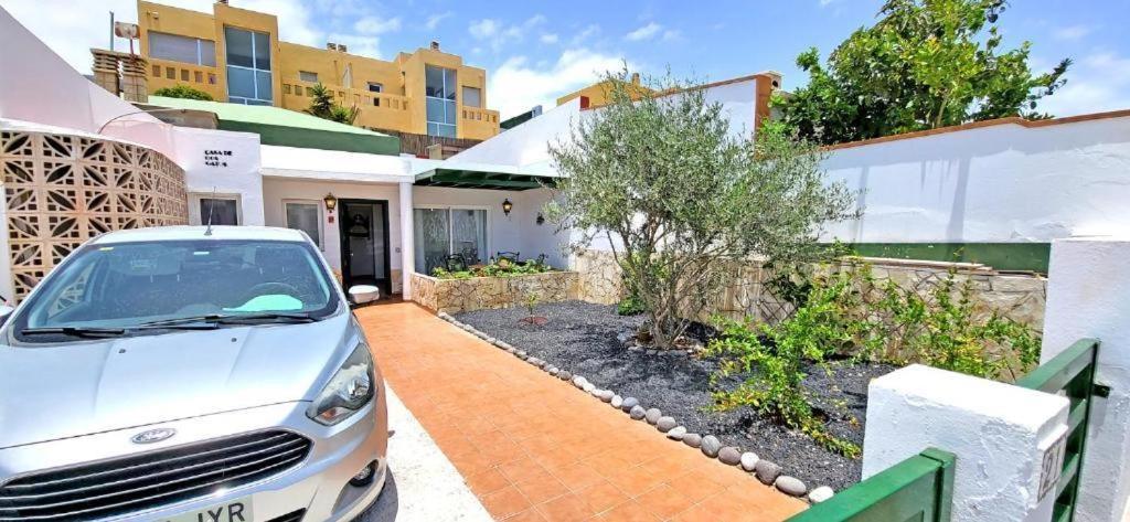 Dos Gatos Fuertaventura Villa Caleta De Fuste Exterior photo